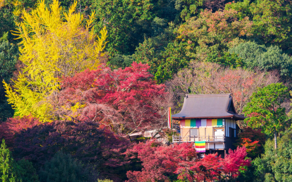 大悲閣千光寺– 嵯峨野觀光鐵路